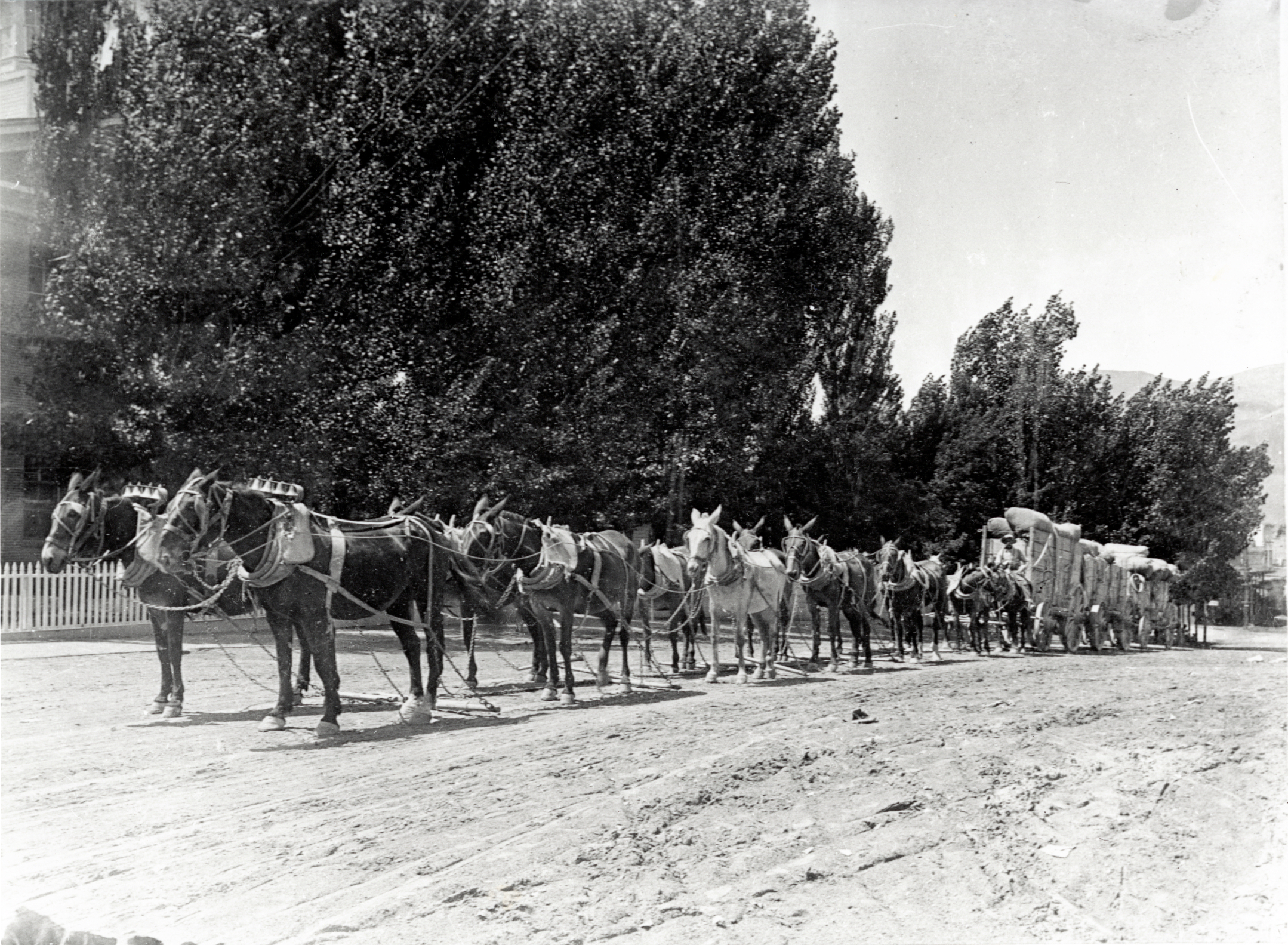 The Roadhouse Era: 1849-1864